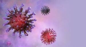 Virüse karşı geliştirilen aşılar uygulanmaya başlasa da, birçok ülkede ortaya çıkan mutasyonlu virüs endişe yaratmaya devam ediyor. Sağlık Bakanı Fahrettin Koca, İngiltere mutasyonlu virüs sayısının Türkiye'de 196 olduğunu bildirdi.