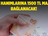 Ev hanımlarına müjde! Kabul edilirse 1.500 TL maaş bağlanacak!