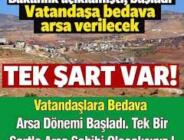 Halka bedava 15 dönüm arazi verilecek! Tek bir şart var