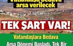 Halka bedava 15 dönüm arazi verilecek! Tek bir şart var