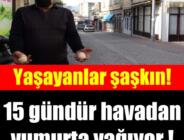 Bu ilçede ikamet edenler şaşkın! 15 gündür havadan yumurta yağıyor