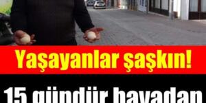 Bu ilçede ikamet edenler şaşkın! 15 gündür havadan yumurta yağıyor