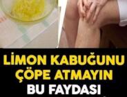 Limonu sıktıktan sonra kabuklarını sakın atmayın