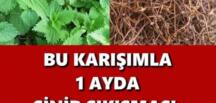 ROMATİZMA VE SİNİR SIKIŞMASI KÜRÜ NASIL UYGULANIR?