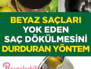 Beyaz saçları yok eden saç dökülmesini durduran bitkisel doğal yöntem