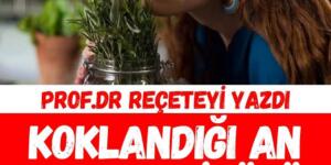 Prof. Dr. İbrahim Saraçoğlu açıkladı: Kokladığınız anda koronavirüsü yok ediyor!