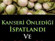 K-anseri Önlediği İspatlandı ve Reflü miğde rahatsızlığıTedavisinde Etkili