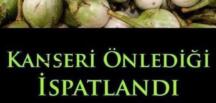 K-anseri Önlediği İspatlandı ve Reflü miğde rahatsızlığıTedavisinde Etkili