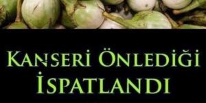 K-anseri Önlediği İspatlandı ve Reflü miğde rahatsızlığıTedavisinde Etkili