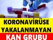 Kan grubu “O” veya “negatif” olanların koronavirüse yakalanma riski daha az