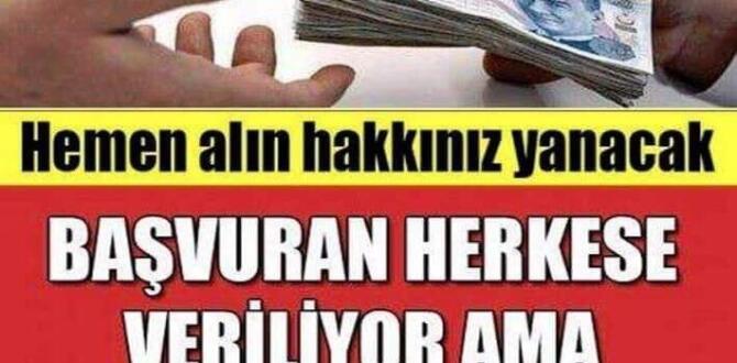 DEVLETİN HERKESE YAPTIĞI BU ÖDEMEDEN HABERİNİZ VAR MI? Bu yardım koşulsuz şartsız herkese veriliyor.