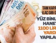 Bakan Yanık : 2 milyonu aşkın haneye 1100 lira destek ödemesi yapılacak