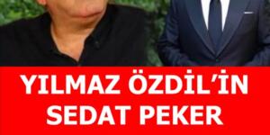 Yılmaz Özdil Peker açıklaması Gündeme orturdu.