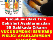 Vücudunuzdaki Tüm Zehirleri Ayaklarınızdan 30 Dakikada Çıkarın