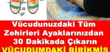 Vücudunuzdaki Tüm Zehirleri Ayaklarınızdan 30 Dakikada Çıkarın