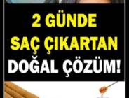 Saç Dökülmesini Durdurmak ve Saçınızı Gürleştirmek İçin Doğal Tarifler