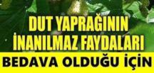 Bedava Olduğundan Reklamı Yapılmadığından Kimse Bilmiyor..