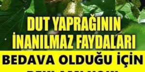 Bedava Olduğundan Reklamı Yapılmadığından Kimse Bilmiyor..