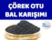 Doğal Kanser İlacı Çörek Otu Bal Karışımı..