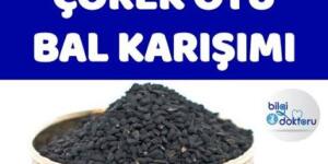 Doğal Kanser İlacı Çörek Otu Bal Karışımı..