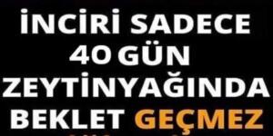 Zeytinyağı ve kuru incir mucizesi