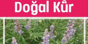 Hamile kalmak için Bitkisel Doğal kür