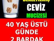 DERTLERE DEVA CEVİZ SUYU: 40 YAŞ ÜSTÜ MUTLAKA İÇMELİ