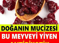 Bu meyveyi yiyen antibiyotik kullanmıyor! Bağışıklık sistemini güçlendiriyor (Turna yemişi nedir?)