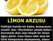 İBRETLİK Dini Hikayeler; “Limon Arzusu”