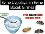 Senede 1 Bu Karışımı Evine Uygulayanın Evine Böcek Girmez