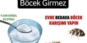 Senede 1 Bu Karışımı Evine Uygulayanın Evine Böcek Girmez