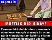 Kuyruk Acısı – Okunası İbretlik bir Hikaye