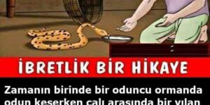 Kuyruk Acısı – Okunası İbretlik bir Hikaye