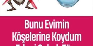 Bunu Evimin Köşelerine Koydum Ertesi Sabah Tüm Hamam Böcekleri Ölmüştü