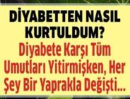 Şeker Hastalığına Şifa Yaprak