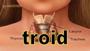 Tiroid bezi, boyunun ön tarafında bulunan ve 2 lobdan oluşan bir bezdir. Tiroid bezi T3 ve T4 ile tanımlanan 2 tane hormon üretir. Bu iki hormon metabolizmayı düzenler ve de metabolizma hızını kontrol eder. Tiroid rahatsızlıkları, tiroid hormonlarının az çalışması, fazla çalışması veya tiroid bezi içinde oluşan kitleler olarak görülür.