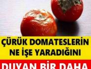 Çürük Domateslerin Ne İşe Yaradığını Duyan Bir Daha Çöpe Atmıyor