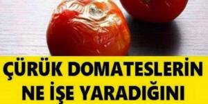 Çürük Domateslerin Ne İşe Yaradığını Duyan Bir Daha Çöpe Atmıyor