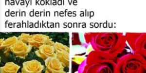 Gül Baba ve ikinci Bayezıd.