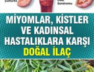 Kadınlarda Kistler ve Tümöre Karşı En Etkili Doğal İlaç. Adet Düzensizliğine Bitkisel çareler