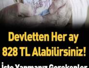 Hemen başvurun! Devletten 828 TL para yardımı alın! 828 TL para yardımı başvurusu nasıl yapılır?