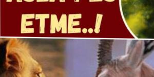 Hamile Ceylan’ın İBRETLİK Hikayesi