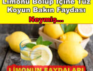 Uyurken Yanı Başınıza Limonu Bölüp İçine Tuz Koyun İşte Faydaları