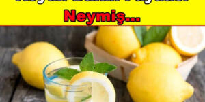 Uyurken Yanı Başınıza Limonu Bölüp İçine Tuz Koyun İşte Faydaları