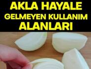 Eski çağlardan bu yana ilaç olarak kullanılan soğanın işte mucize faydaları…