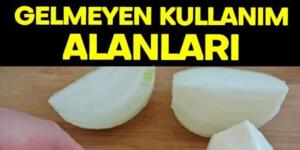 Eski çağlardan bu yana ilaç olarak kullanılan soğanın işte mucize faydaları…