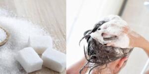 Şeker nemlendirici şampuanla karıştırılmalı ve sadece 4 yıkamada bir uygulanmalı. Yani bugün yaptıysanız en az 4 gün boyunca bu uygulamayı yapmamalısınız…