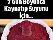 Doğal insülin bulundu! 7 gün boyunca kaynatıp suyunu için ve…