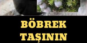 Andız pekmezinin faydaları nelerdir? Andız pekmezi neye iyi gelir?