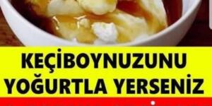2 ay boyuncu yoğurtla tüketin! Öyle bir faydası var ki…